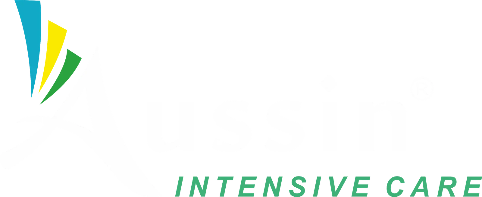 Aussin Intensive Care